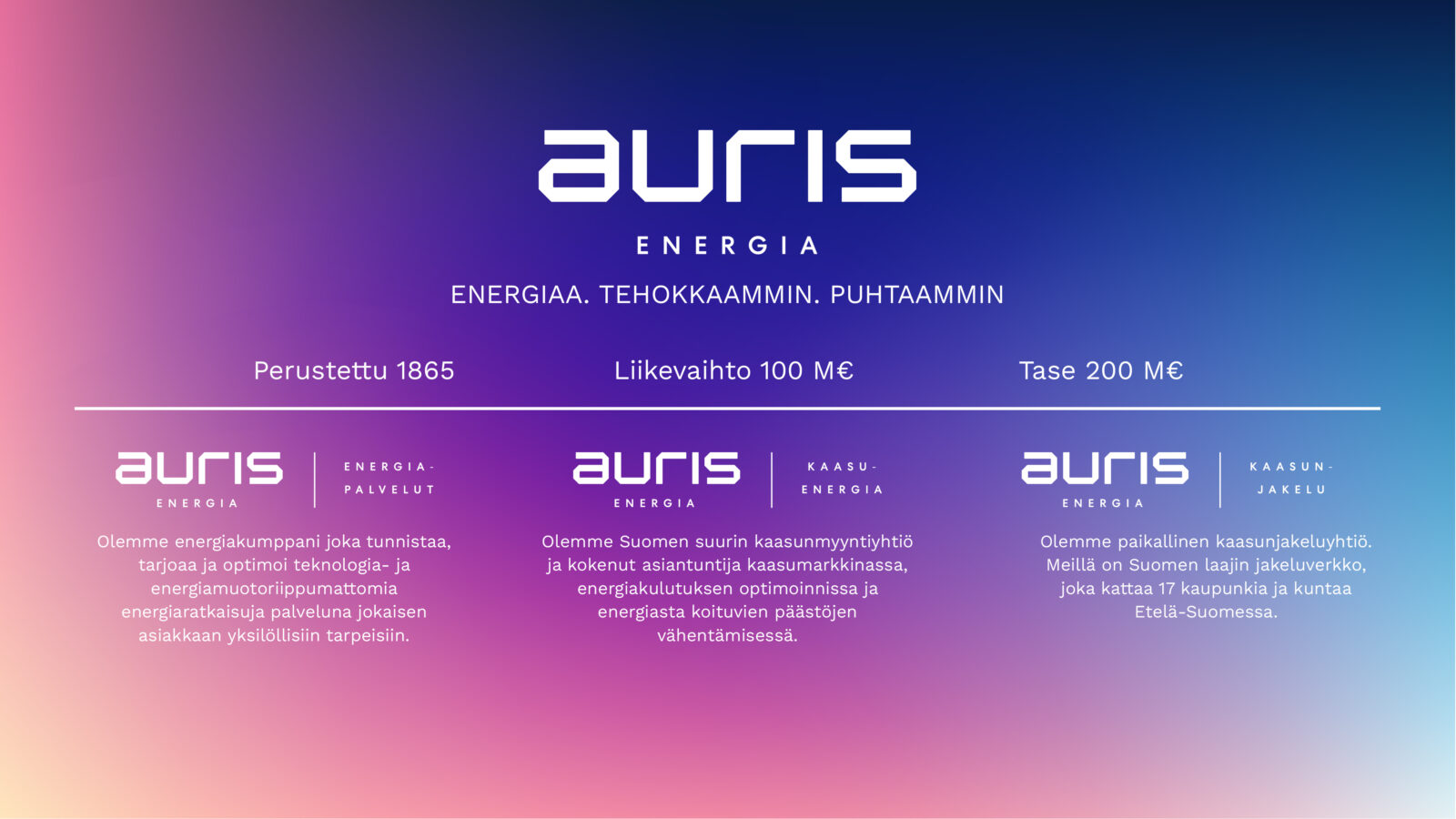 Auris Energia yrityksenä